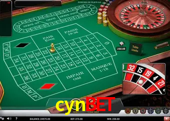 Cassino ao vivo com dealers reais na cynbet